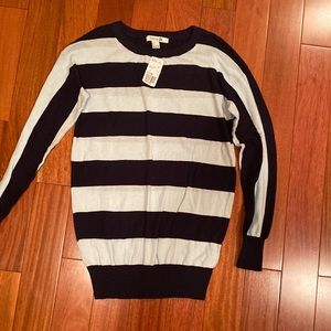 Navy blue and light blue striped thin oversized sweater